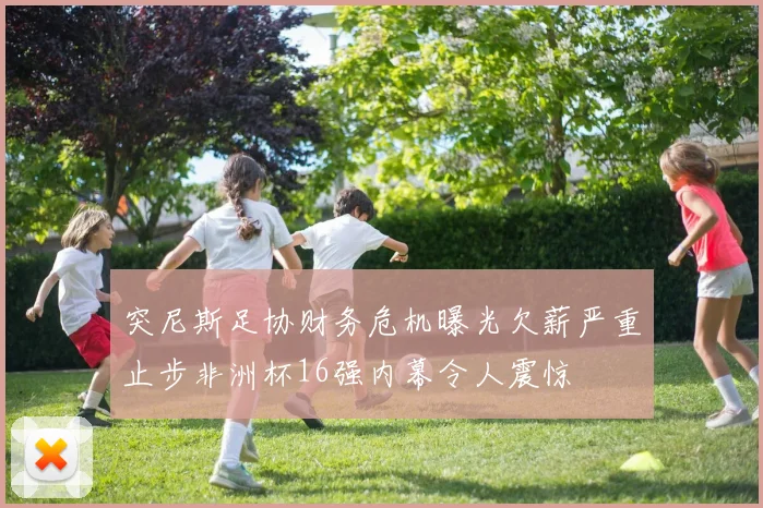 突尼斯足协财务危机曝光欠薪严重止步非洲杯16强内幕令人震惊